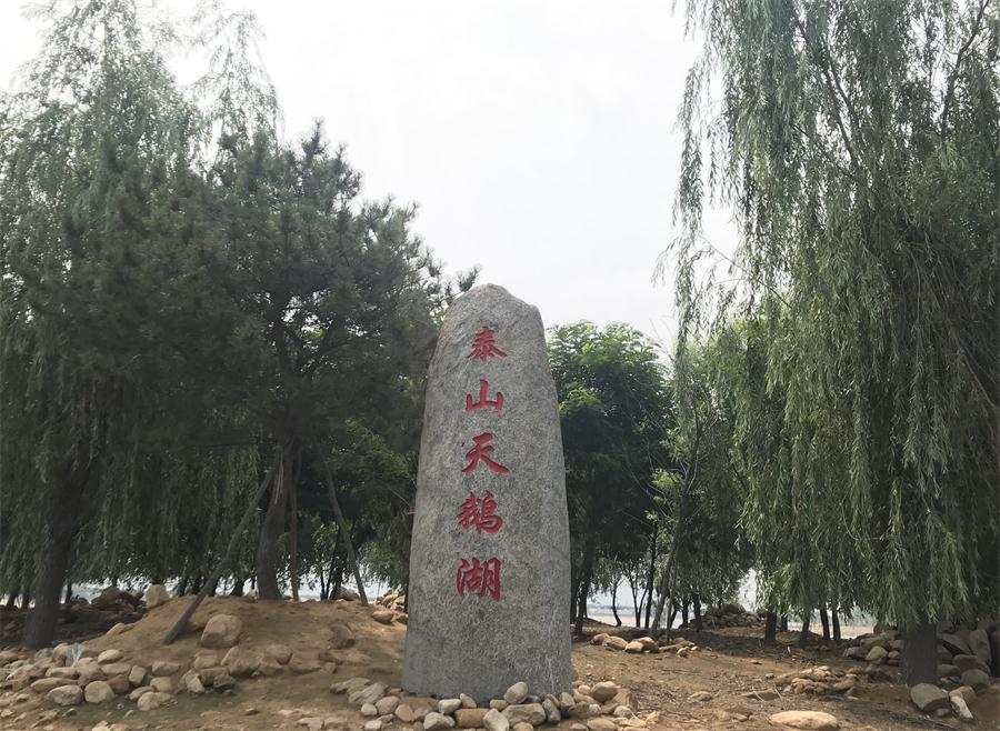 天鵝湖風(fēng)景區(qū)（泰山）速覽！(圖12)