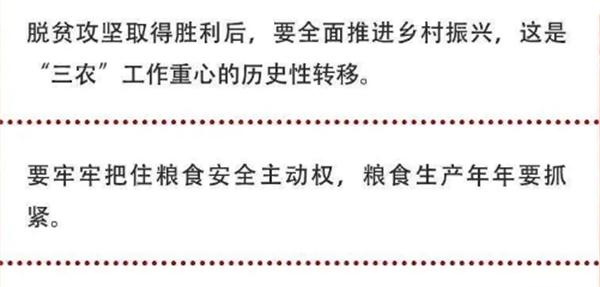 2020年中央農(nóng)村工作會(huì)議精神速覽！(圖2)